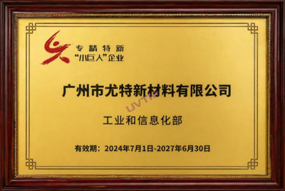 专精特新小巨人（国家级）